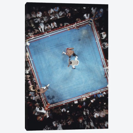 Opponent On One Knee Getting Counted Out, Rumble In The Jungle™ Canvas Print #ALI11} by Muhammad Ali Enterprises Art Print