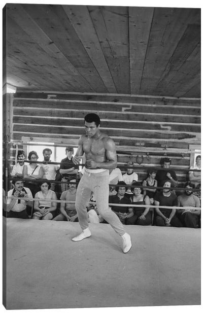 In-Ring Movement At Deer Lake I (Rumble In The Jungle™ Training Camp) Canvas Art Print - Muhammad Ali Enterprises