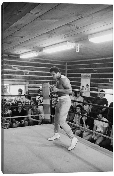 In-Ring Movement At Deer Lake III (Rumble In The Jungle™ Training Camp) Canvas Art Print - Muhammad Ali Enterprises