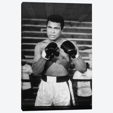 Muhammad Ali With A Fierce Glare While Training Canvas Print #ALI56} by Muhammad Ali Enterprises Canvas Art