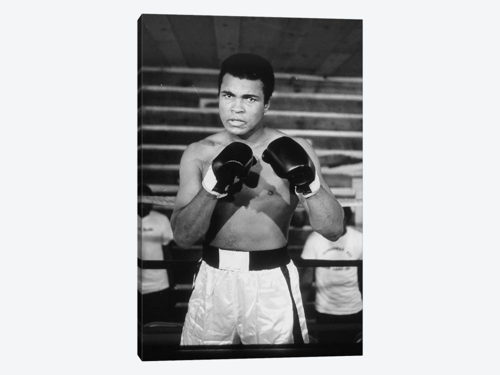 Muhammad Ali With A Fierce Glare While Training by Muhammad Ali Enterprises 1-piece Canvas Artwork