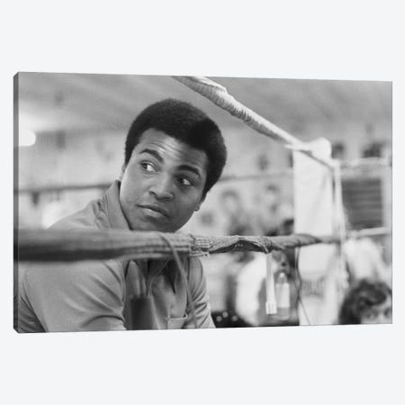Muhammad Ali With A Raised Brow Canvas Print #ALI57} by Muhammad Ali Enterprises Canvas Art