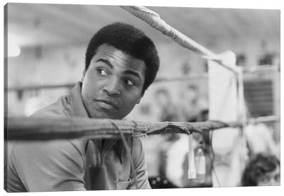 Muhammad Ali With A Raised Brow Canvas Art Print - Boxing Art