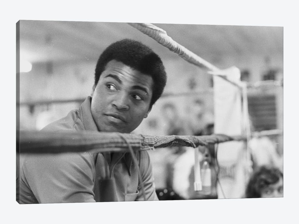 Muhammad Ali With A Raised Brow by Muhammad Ali Enterprises 1-piece Canvas Print