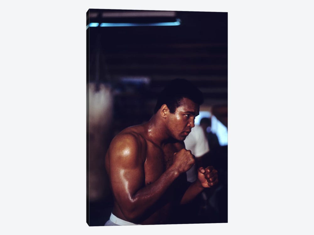 Shadow Boxing Session by Muhammad Ali Enterprises 1-piece Canvas Wall Art