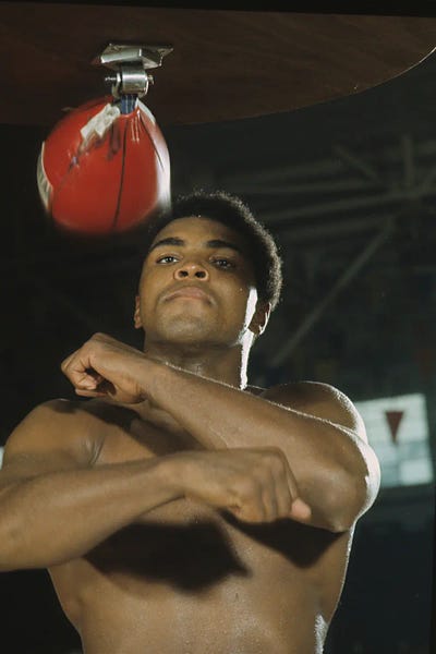 Speed Bag Work II