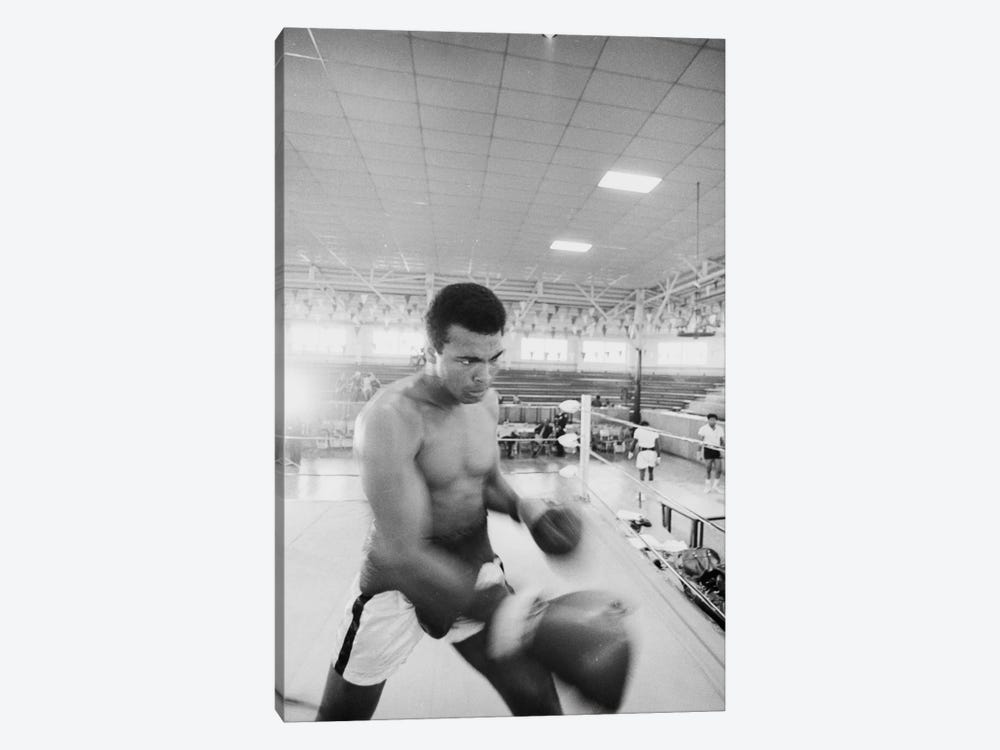 Blurred Motion View Of Muhammad Ali Sparring by Muhammad Ali Enterprises 1-piece Canvas Print