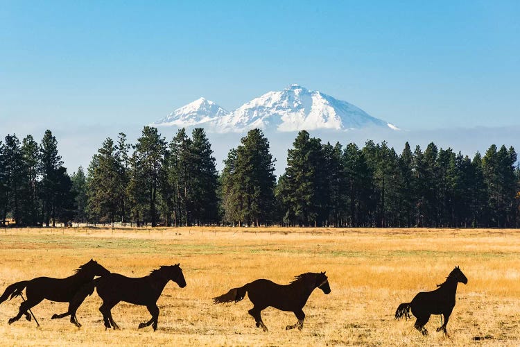 Oregon, Columbia River Basin, Deschutes River Basin, metal sculpture of mustangs in field