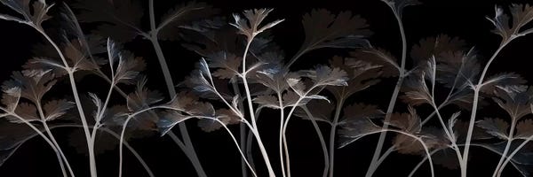 Abstracts In Nature: Cocoa Amethyst by Albert Koetsier