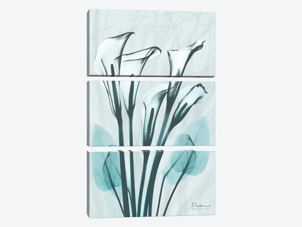 Calla Lily Crystalis I by Albert Koetsier 3-piece Canvas Art Print