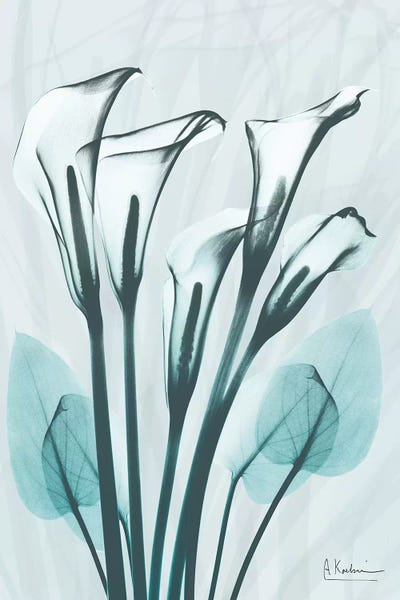 A.D. Lines Eurogroup Inc.: Calla Lily Crystalis I by Albert Koetsier