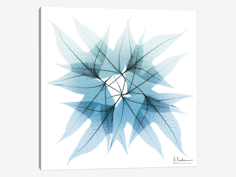 Iced Trident Maple by Albert Koetsier 1-piece Canvas Art Print