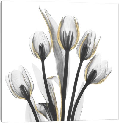 Gold Embellished Tulips I Canvas Art Print - Gold & Silver Art