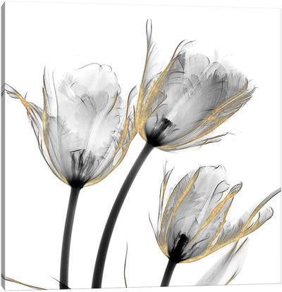 Gold Embellished Tulips II Canvas Art Print - Black, White & Gold Art