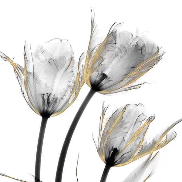 Tulips: Gold Embellished Tulips II by Albert Koetsier
