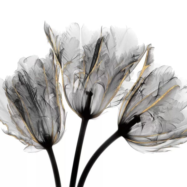 A.D. Lines Eurogroup Inc.: Gold Embellished Tulips III by Albert Koetsier