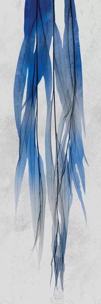 Grasses: Indigo Growth I by Albert Koetsier