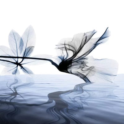 Ocean Scent II by Albert Koetsier art print