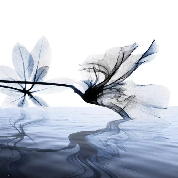 A.D. Lines Eurogroup Inc.: Ocean Scent II by Albert Koetsier