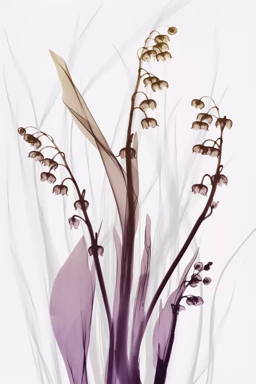 Radiant Snowdrops IV by Albert Koetsier wall art