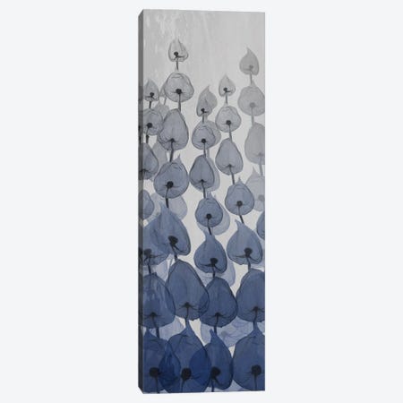 Sapphire Blooms I Canvas Print #ALK169} by Albert Koetsier Art Print