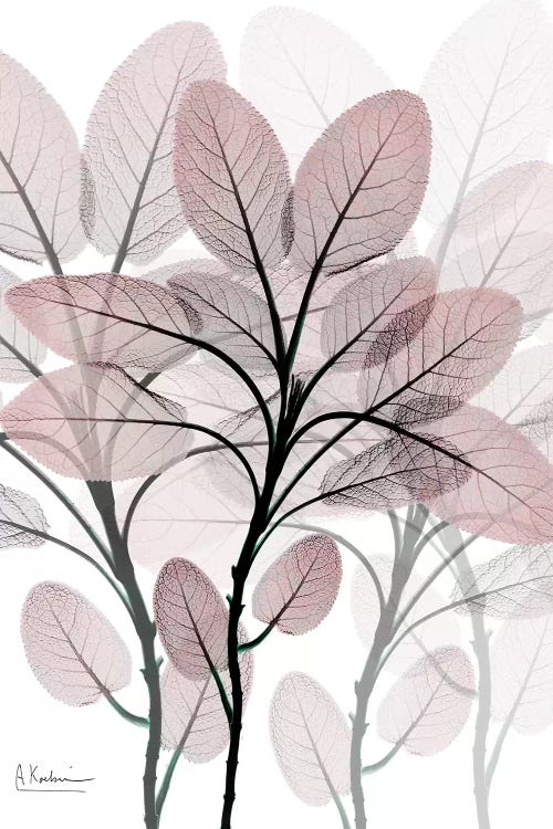 Plentiful Embrace I