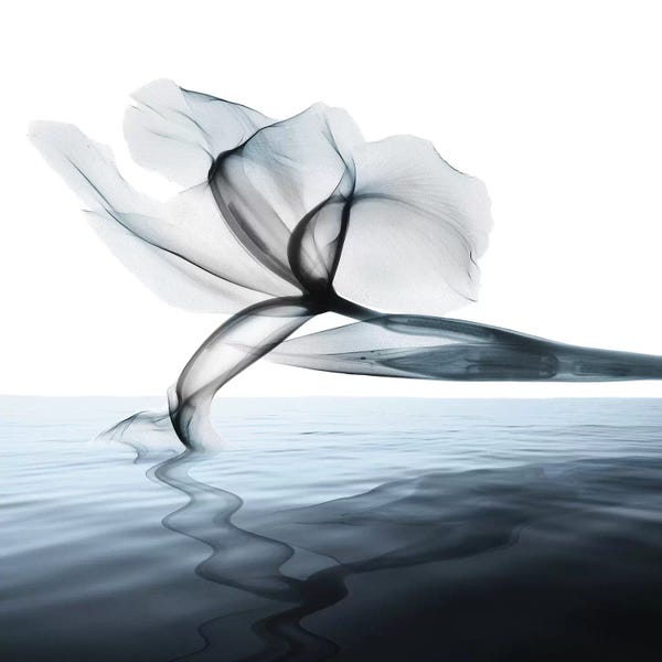 A.D. Lines Eurogroup Inc.: Sea Salt Scent I by Albert Koetsier