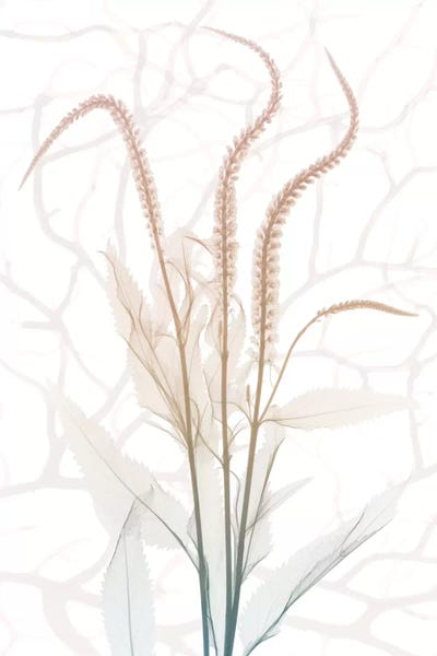 Abstracts In Nature: Toned Dawn IV by Albert Koetsier