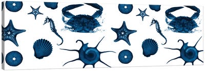 Revolving Sea II Canvas Art Print - Starfish Art