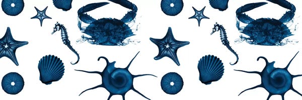 Crabs: Revolving Sea II by Albert Koetsier