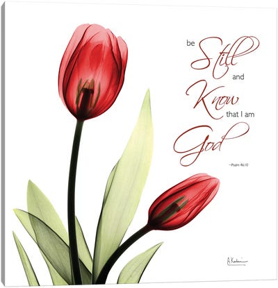 Be Still Tulip Canvas Art Print - Bible Verse Art