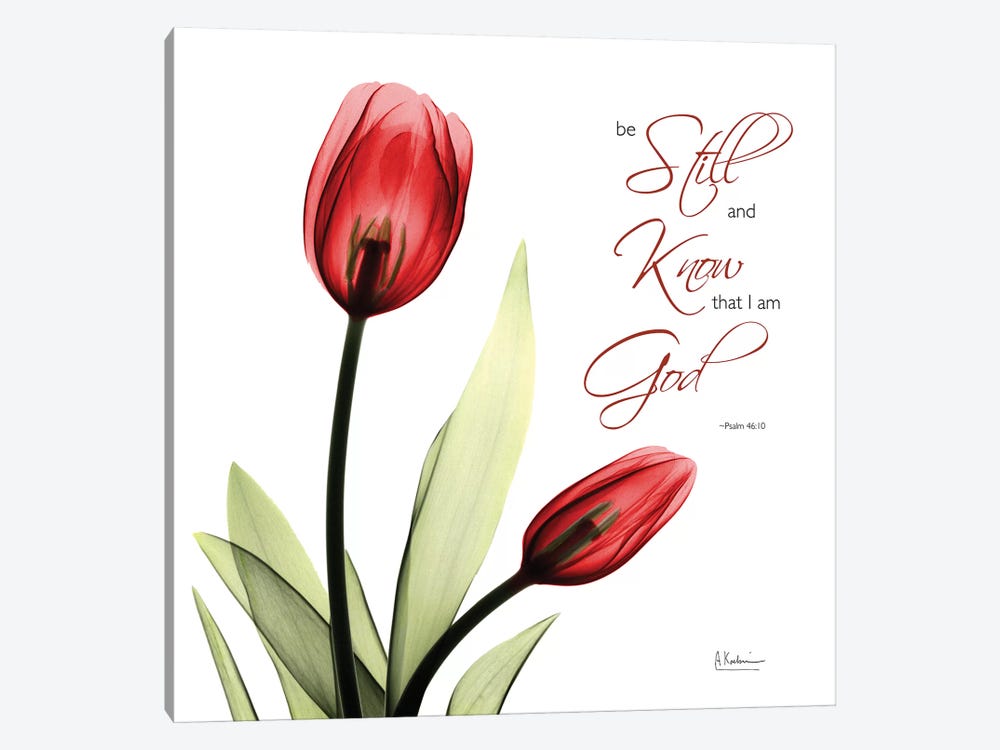 Be Still Tulip by Albert Koetsier 1-piece Canvas Print