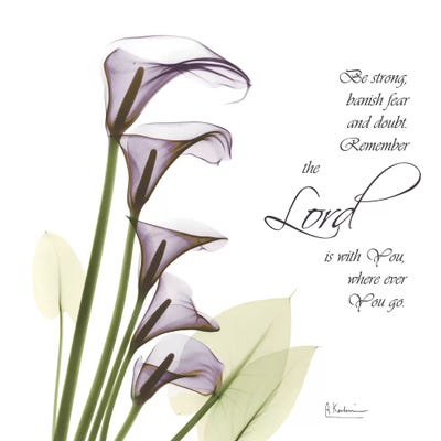 Calla Lilies Remember by Albert Koetsier framed canvas print