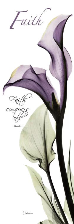 Calla Lily Faith 