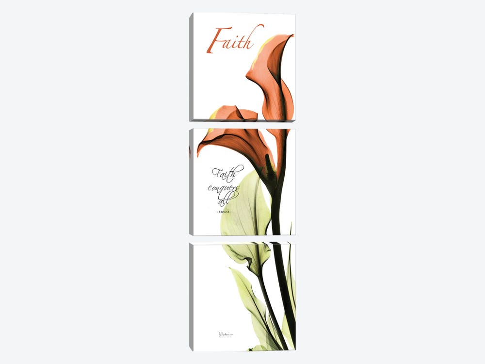 Calla Lily Faith  by Albert Koetsier 3-piece Canvas Art Print