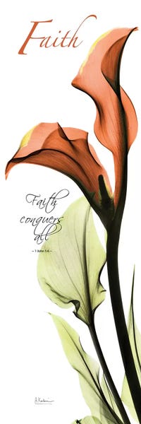 Bible Verses: Calla Lily Faith  by Albert Koetsier