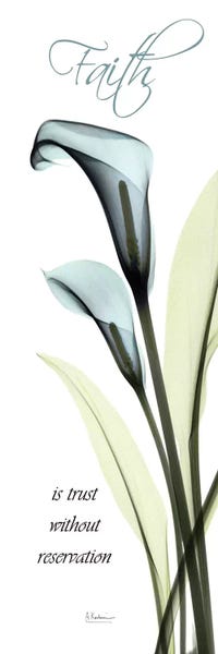 A.D. Lines Eurogroup Inc.: Callas Faith by Albert Koetsier