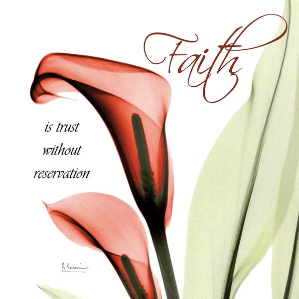Calla Lilies: Callas Faith by Albert Koetsier