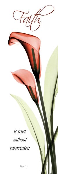 A.D. Lines Eurogroup Inc.: Faith Callas by Albert Koetsier