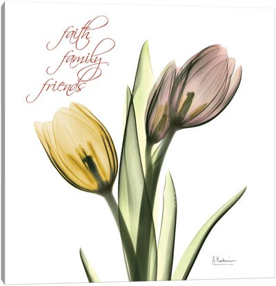 Faith Tulips Canvas Art Print - Albert Koetsier