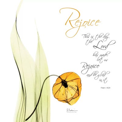 Sandersonia Day H51 by Albert Koetsier framed canvas print