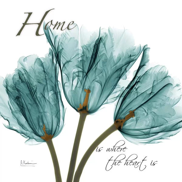 Typography: Tulips Home by Albert Koetsier
