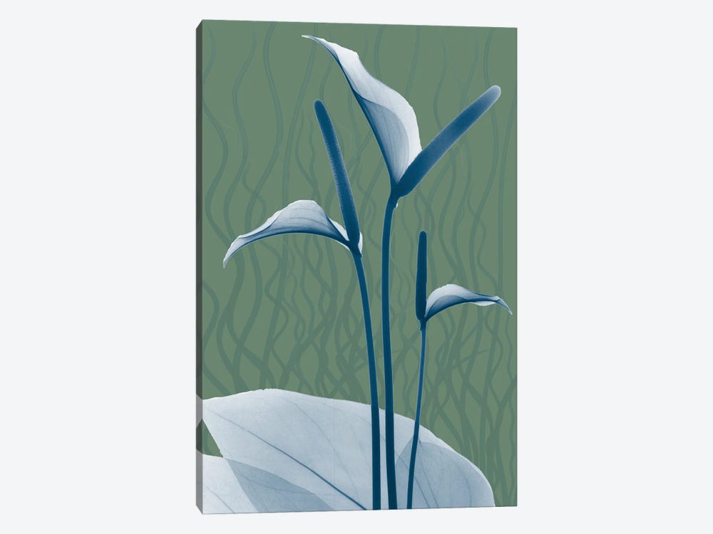 Blue Sage Dawn II by Albert Koetsier 1-piece Art Print