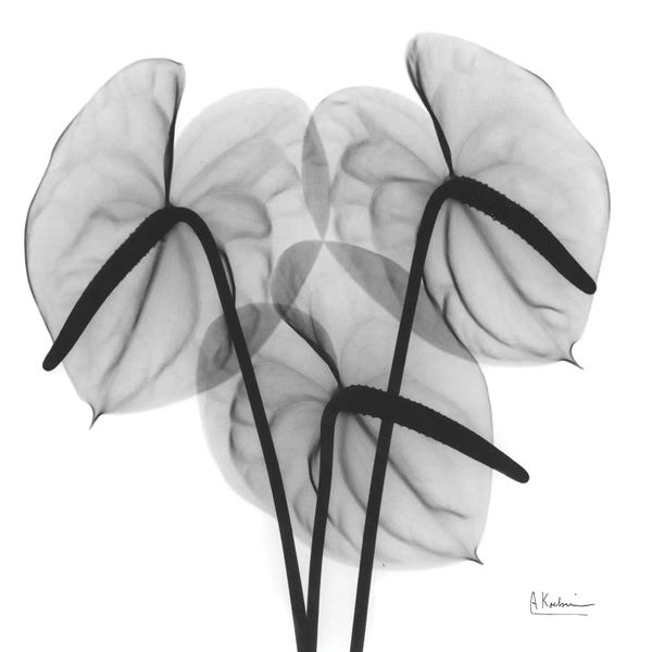 A.D. Lines Eurogroup Inc.: Flamingo II by Albert Koetsier