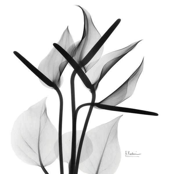 A.D. Lines Eurogroup Inc.: Flamingo Squared by Albert Koetsier