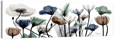 Floral Neutrals I Canvas Art Print - Panoramic Photography