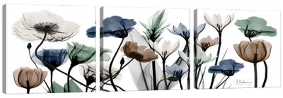 Floral Neutrals I Canvas Art Print - 3-Piece Photography