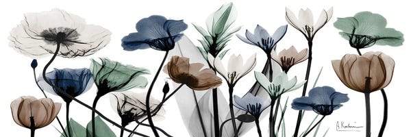 Wall Art: Floral Neutrals I by Albert Koetsier