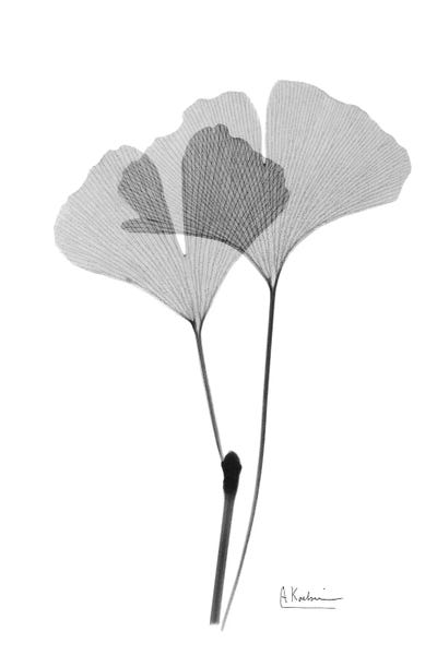 Japandi: Inverted Ginko IV by Albert Koetsier