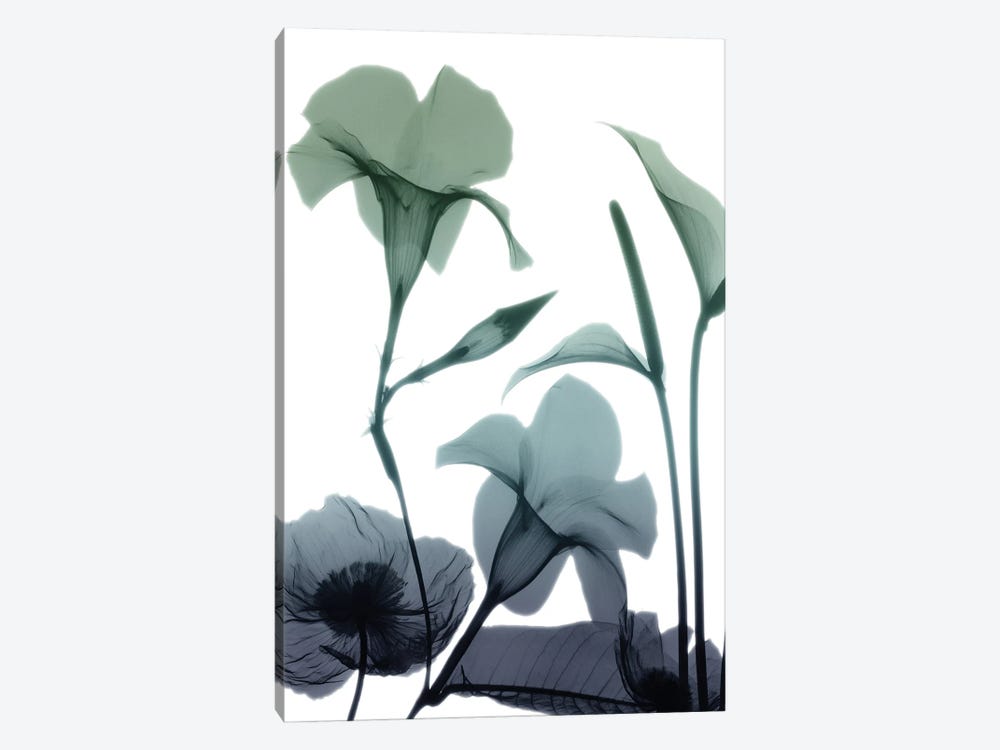 Mystic Bloom I by Albert Koetsier 1-piece Canvas Print